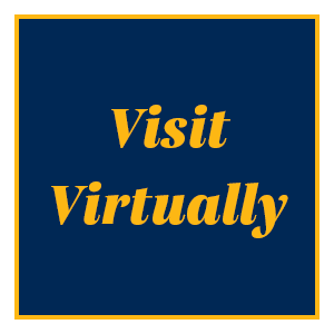 "Visit Virtually" icon